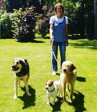 Original DRILLINGSLEINE