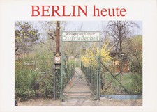 AK Künstler-AK, Berlin, Schrebergarten, Kleingarten-Kolonie 'Zufriedenheit'