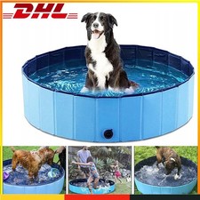 Hundepool Hunde Swimmingpool