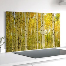 Küchenrückwand Glas