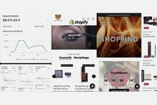 ❗️Fertiger Shopify