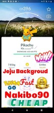 Pokemon✨Glänzendes Pikachu