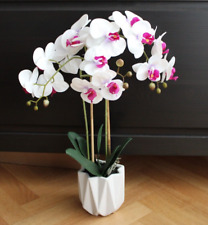 Künstliche Orchidee Phalaenopsis Kunstpflanze Weiß lila im Topf Höhe 57,5 cm