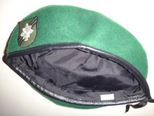 Vietnam War US Army 5th