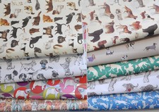 Hunde und Katzen -
