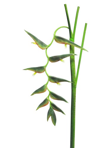 Artplants deko blume heliconia - blume,