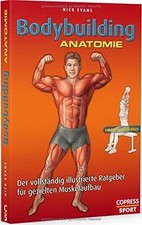 Bodybuilding Anatomie: Der