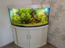 Trigon 350 von Juwel