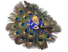Pfauenfeder Kleid Poshak für