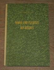 Moose und Flechten des Waldes