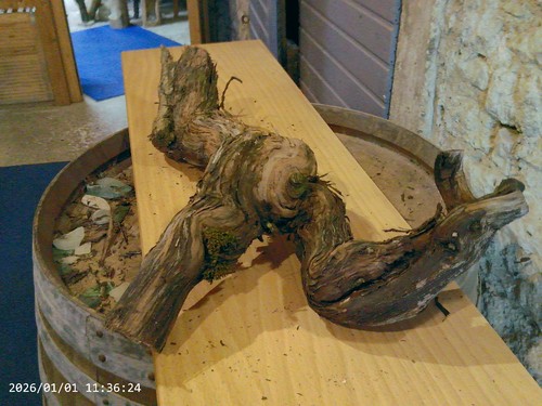 Weinstock herbstdeko holz - weinstock,