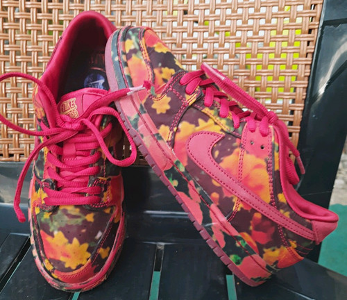Nike dunk low pro - nike,
