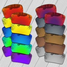 Polarisierte Ersatzgläser for