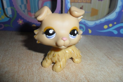 Littlest pet shop - littlest, collie