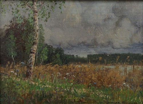 Landschaft see mit birke - see,