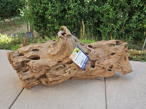 Mangroven wurzel 47x18x20cm - mangroven,
