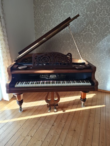 Bösendorfer flügel pokorny - bösendorfer, ,