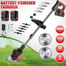 Elektro Akku-Rasentrimmer mit