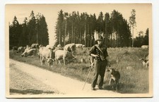 AK Manebach, Schäfer, Thüringer Wald, Elgersburg,  Geraberg, Ilmenau, Martinroda
