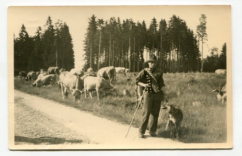 Manebach schäfer - manebach,,