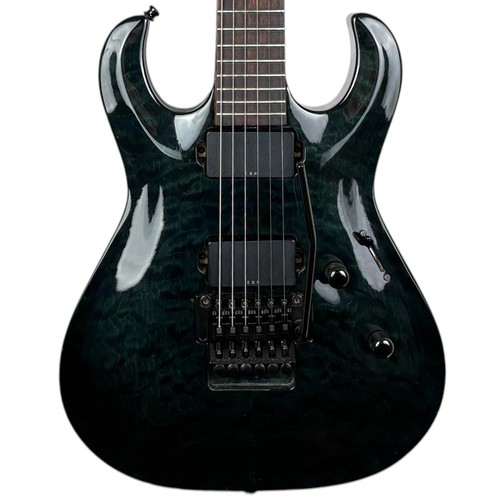 Edwards esp ra 110hr - esp, e-ra-110hr