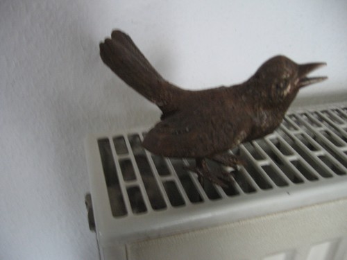 Zwitschender vogel spatz - zwitschender,