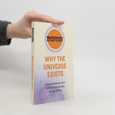 Why the Universe Exists  | 
