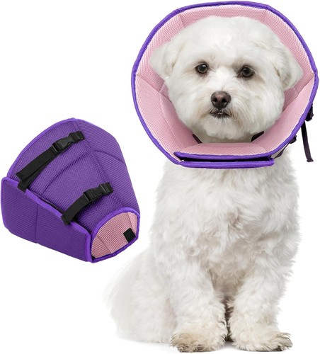 Halskrause für hunde - für,