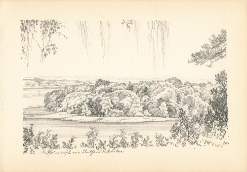 1920 max brückner - brückner,
