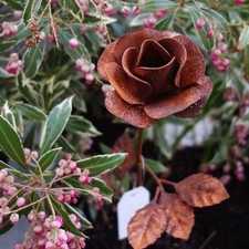 Blumenstecker Gartenstecker