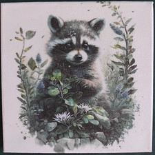 süßer Waschbär Bild -