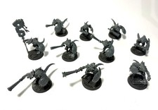 10 Saurus-Krieger, Seraphon