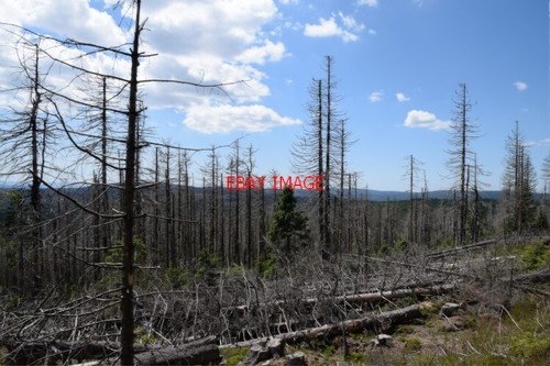Foto der brocken - foto,