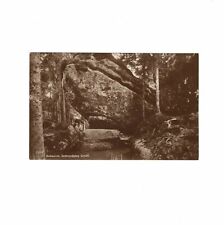 AK Ansichtskarte Bukowine Bukowina / Gestrandetes Schiff - 1929