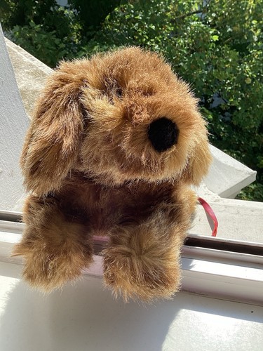 Sigikid dackel hund - dackel,