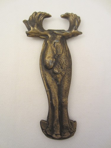 Canada moose elch hirsch - moose,