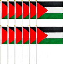 Palästinensische Flagge,12