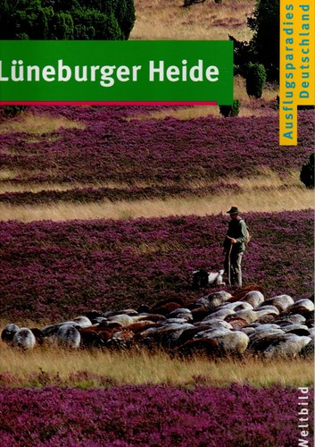 Lüneburger heide - heide,