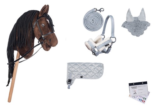 Hobby horse - hobby,