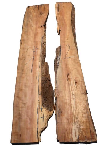 Apfelbaum holz für epoxid - 1x,