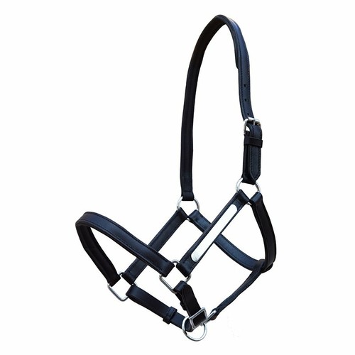 Lederhalfter everyday charm - lederhalfter, charm"