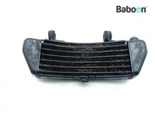 Ölkühler Ducati ST 3 (ST3)