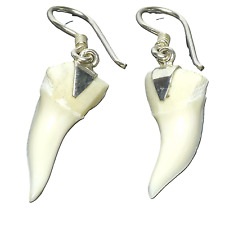 925 Silber  Paar Fossile Haifischzahn Ohrhänger Haizahn Ohrschmuck Bullenhai M2