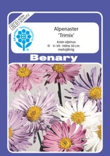 Benary Samen B623081 Alpenaster Trimix (Asternsamen)