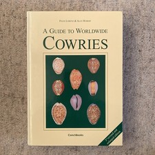 A Guide to Worldwide Cowries