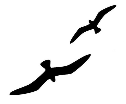 Vogel silhouetten fenster - silhouetten,