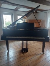 Flügel Sauter (165) Farbe schwarz