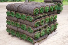 Premium rollrasen inkl - premium,