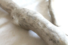 Schwemmholz Treibholz Skulptur