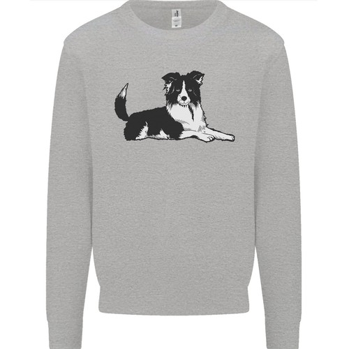 Ein border collie hund liegend - collie,